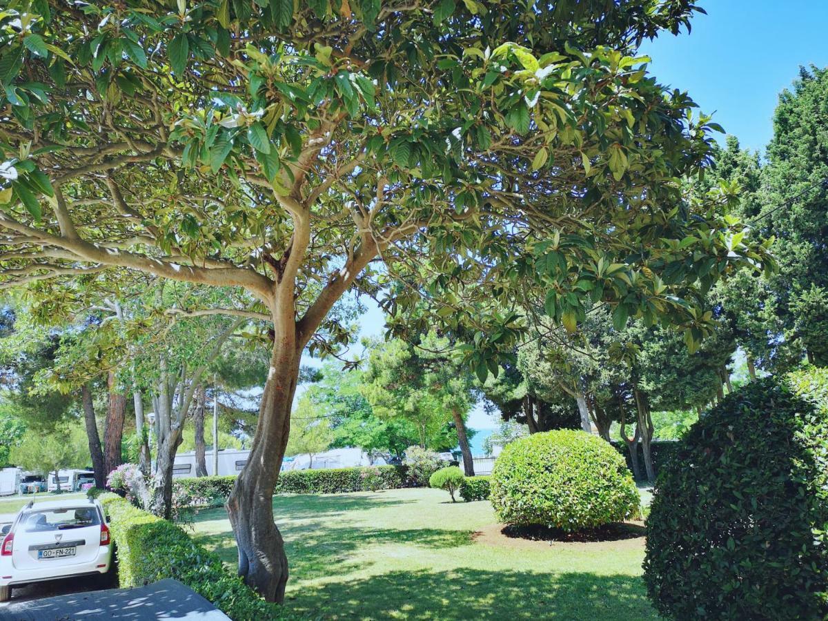 App Emona Bašanija Exterior foto
